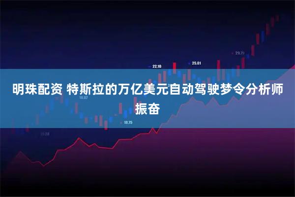 明珠配资 特斯拉的万亿美元自动驾驶梦令分析师振奋