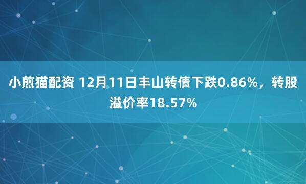 小煎猫配资 12月11日丰山转债下跌0.86%,转股溢价率18.57%