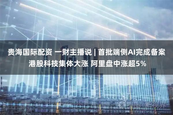 贵海国际配资 一财主播说 | 首批端侧AI完成备案 港股科技集体大涨 阿里盘中涨超5%